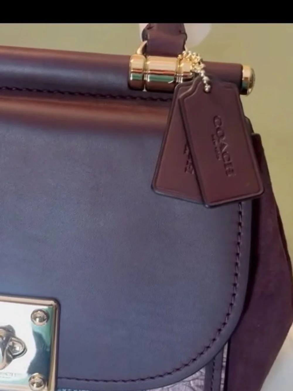 Coach Plum Leather Top-Handle Satchel with Pink Python Accent and Gold Hardware